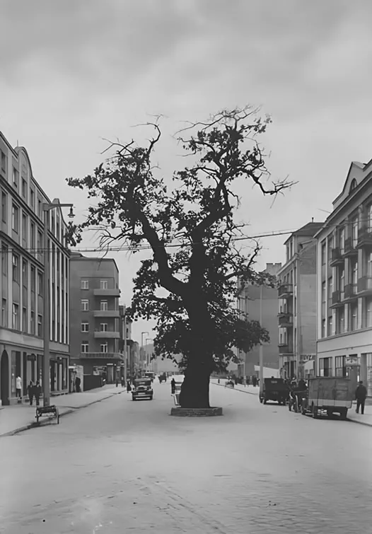 Kancelaria Spadkowa Gdynia